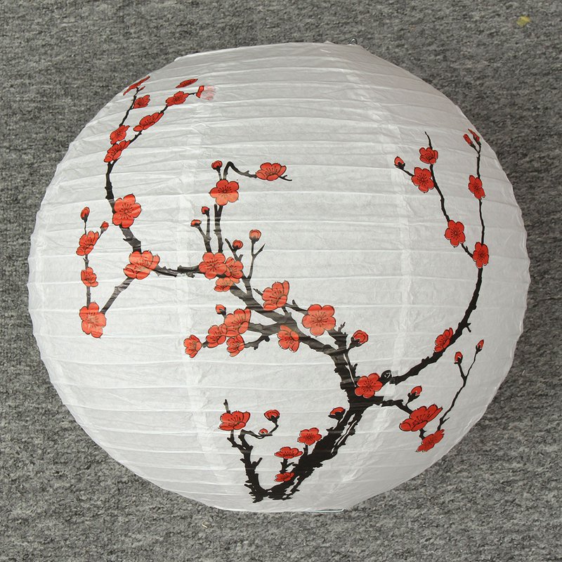 Paper lantern, plum blossom